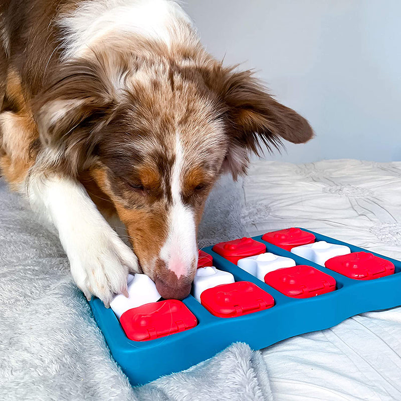Pat and Pet Emporium | Pet Toys | Pet Snack Treasure Box Toy