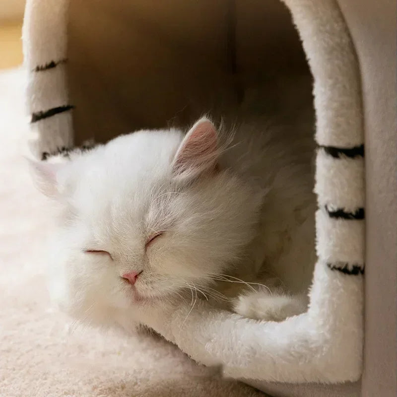 Pat and Pet Emporium | Pet Beds | Foldable Dog Cat Bed House