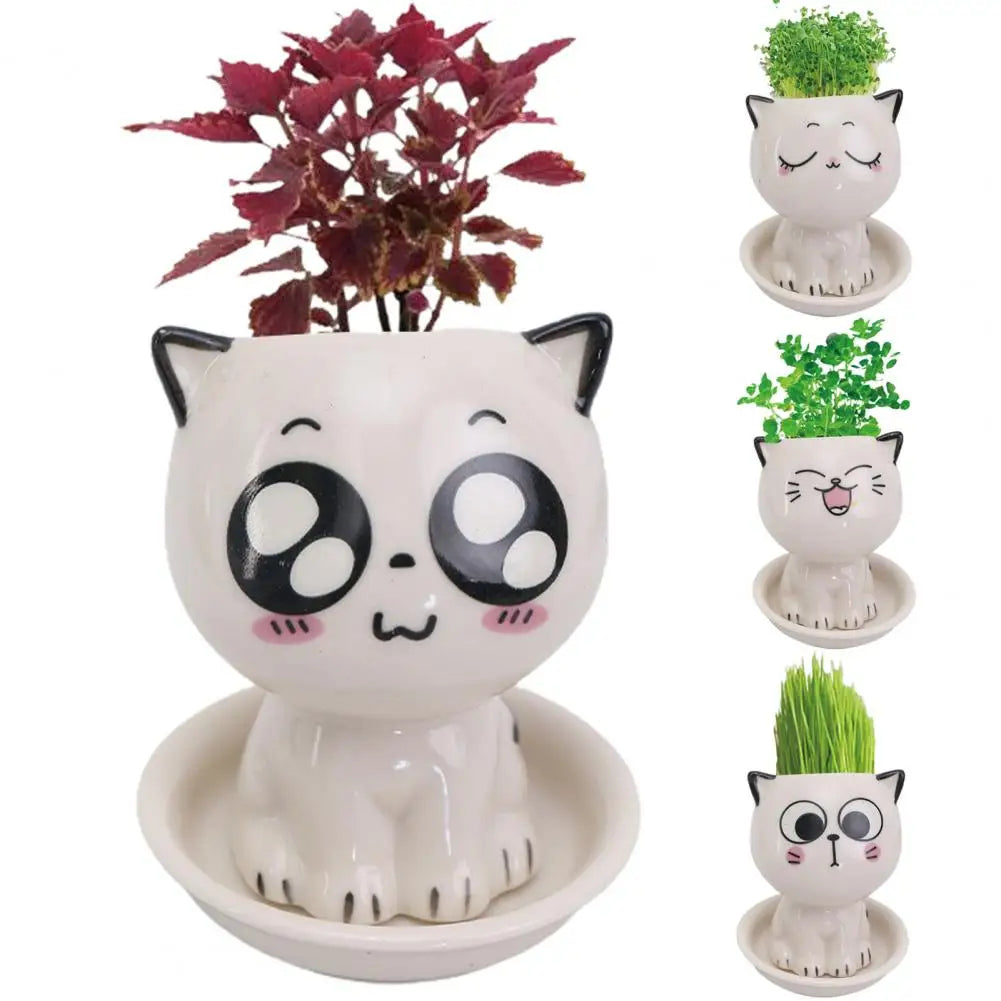 Pat and Pet Emporium | Home Products | Cat Ceramic Flowerpot