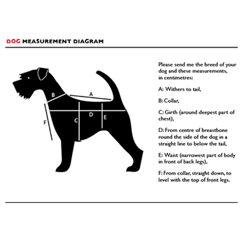 Pat and Pet Emporium | Pet Clothing | Super Cute Dog Hoodie