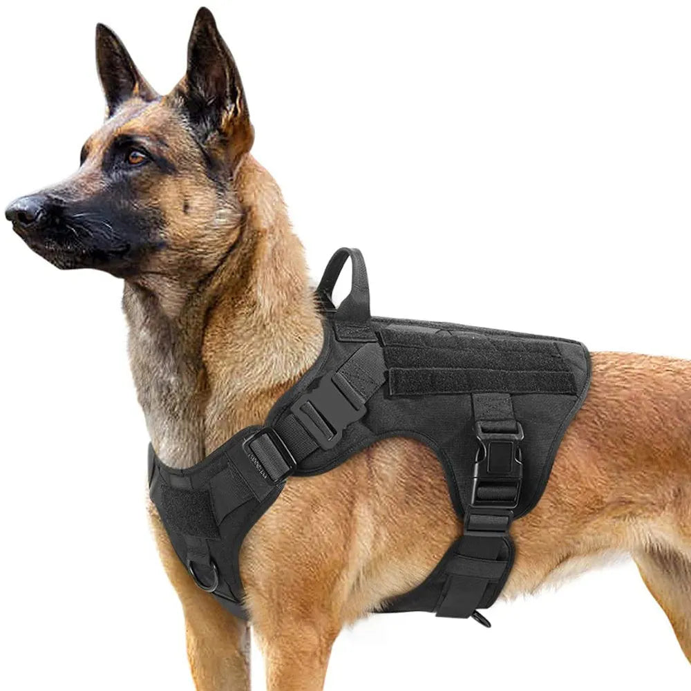Pat and Pet Emporium | Pet Harnesses | Large Dog Leash Vests