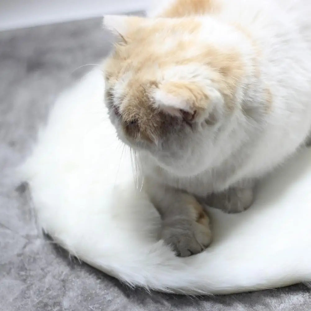 Pat and Pet Emporium | Pet Beds | Soft Heated Electric Pet Mat