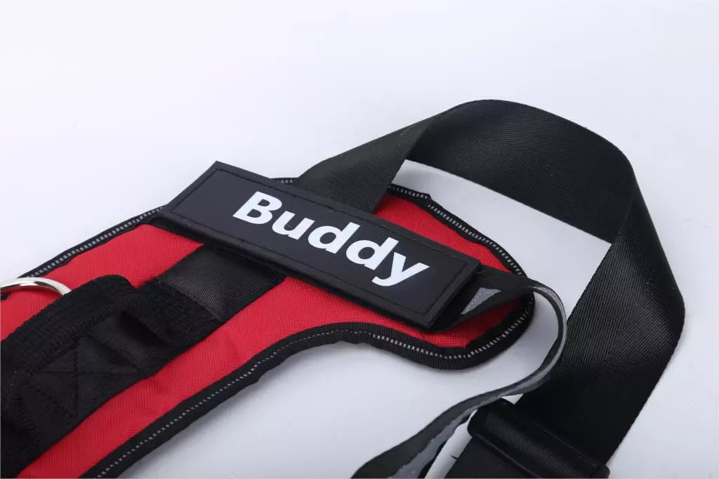 Pat and Pet Emporium | Pet Harnesses | Custom Vest NO PULL