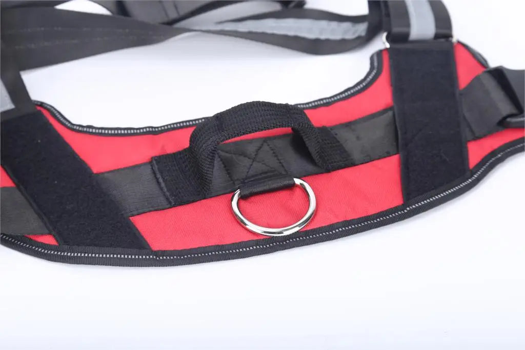 Pat and Pet Emporium | Pet Harnesses | Custom Vest NO PULL