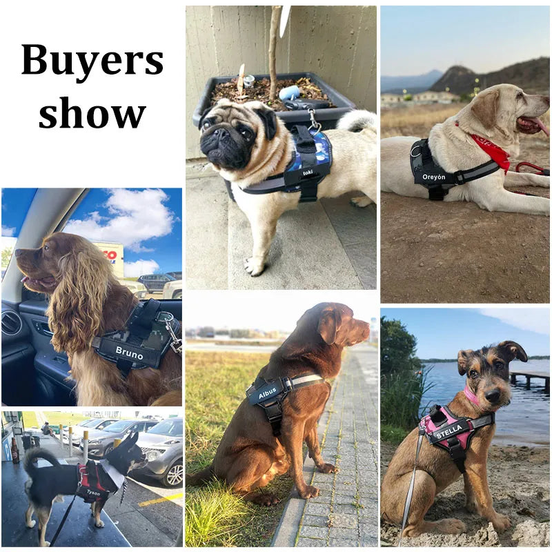Pat and Pet Emporium | Pet Harnesses | Custom Vest NO PULL