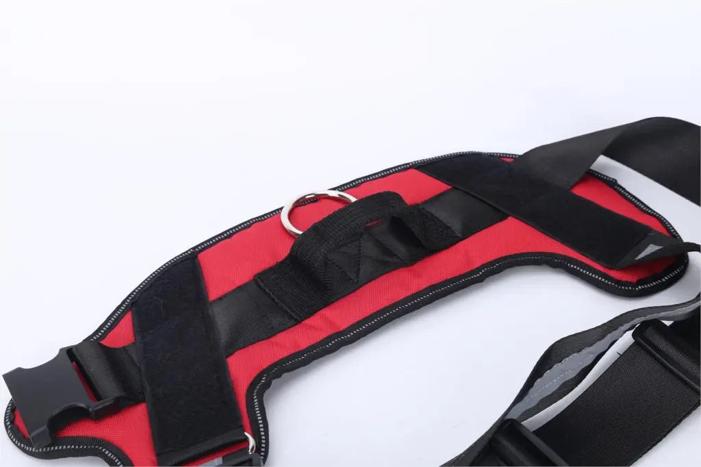 Pat and Pet Emporium | Pet Harnesses | Custom Vest NO PULL