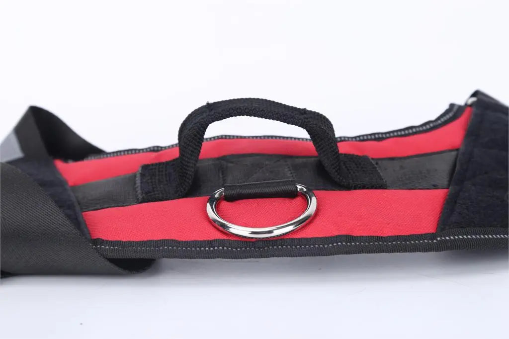Pat and Pet Emporium | Pet Harnesses | Custom Vest NO PULL