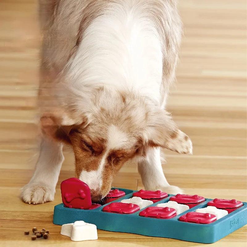Pat and Pet Emporium | Pet Toys | Pet Snack Treasure Box Toy