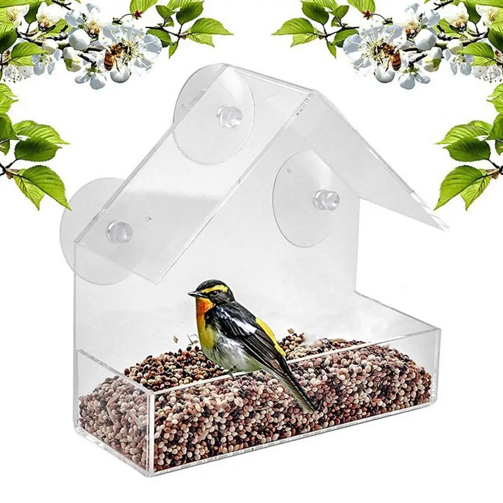 Pat and Pet Emporium | Pet Feeders | Bird Feeder | Clear Box