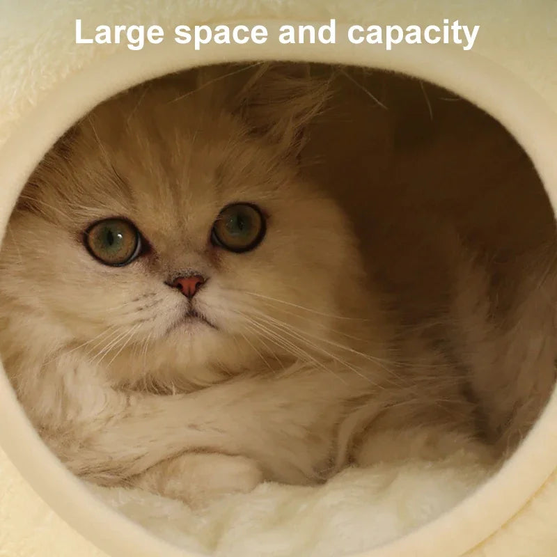 Pat and Pet Emporium | Pet Beds | Cartoon Frog Cat Dog House