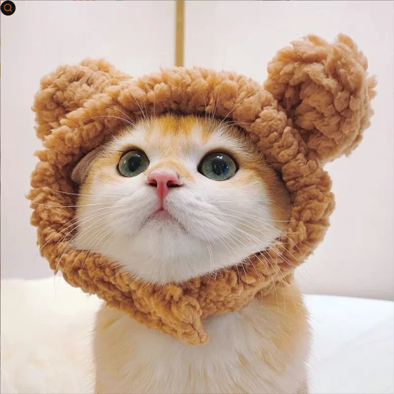Pat and Pet Emporium | Pet Costumes | Bear Plush Cat Costume