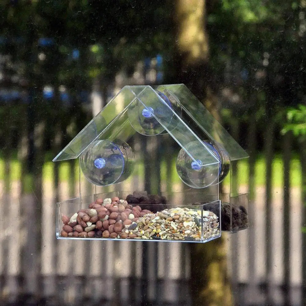 Pat and Pet Emporium | Pet Feeders | Bird Feeder | Clear Box