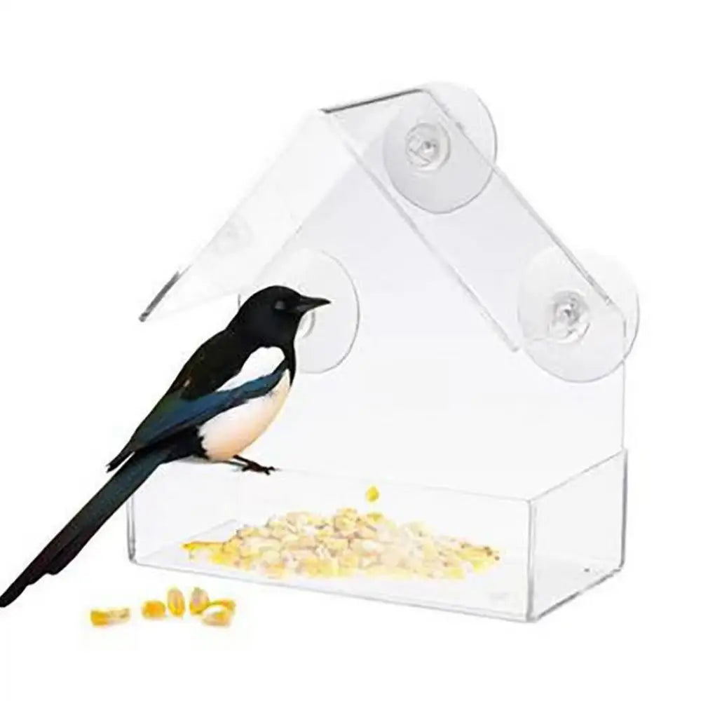 Pat and Pet Emporium | Pet Feeders | Bird Feeder | Clear Box