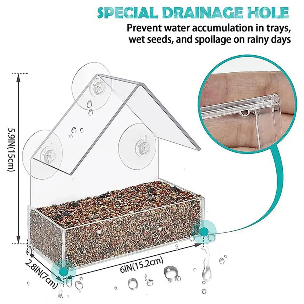 Pat and Pet Emporium | Pet Feeders | Bird Feeder | Clear Box