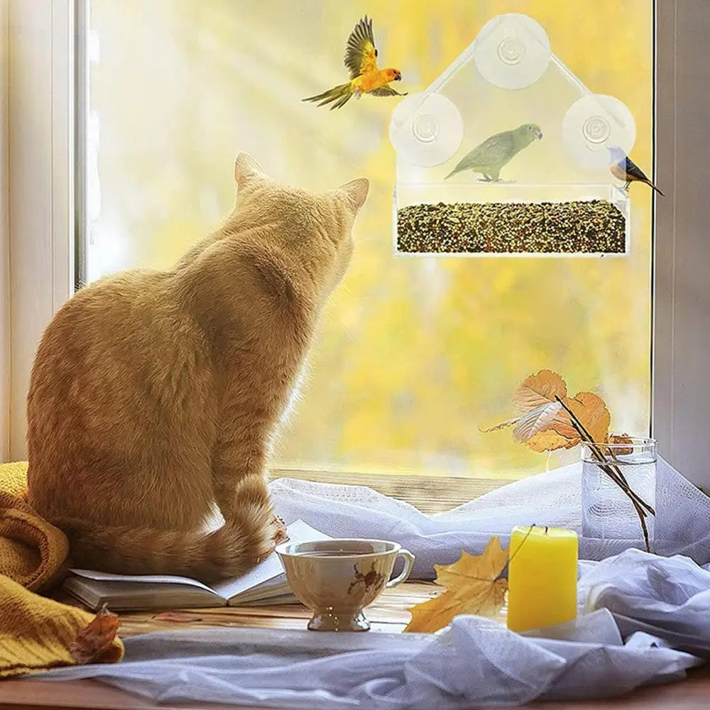 Pat and Pet Emporium | Pet Feeders | Bird Feeder | Clear Box
