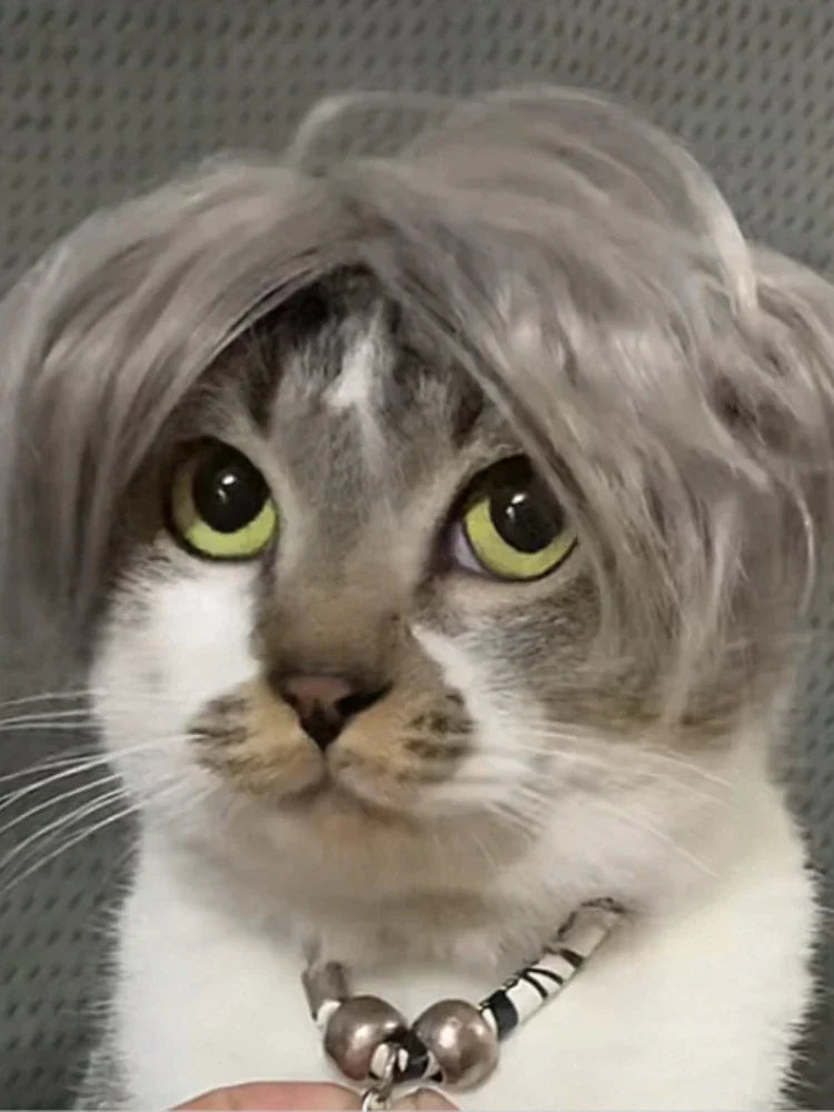 Pat and Pet Emporium | Pet Costumes | Cat Dog Wig Hair Piece