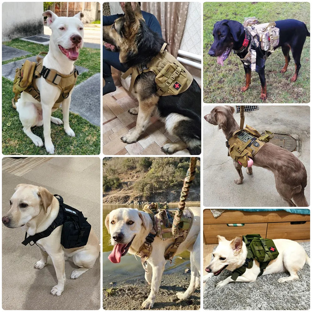 Pat and Pet Emporium | Pet Harnesses | Large Dog Leash Vests