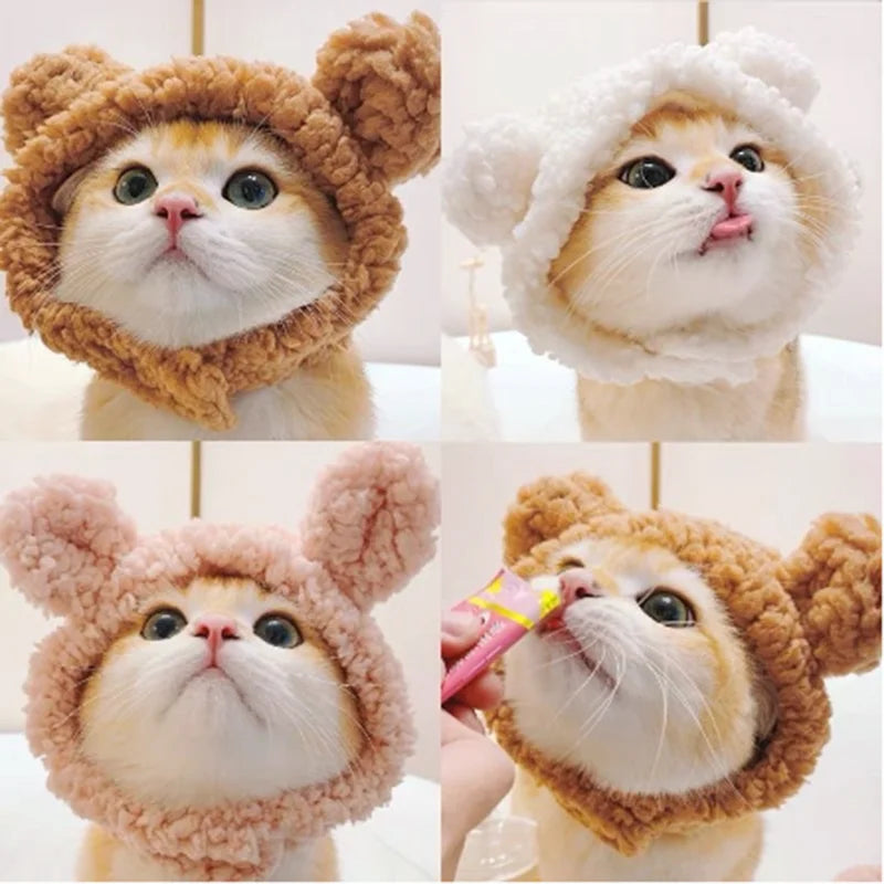 Pat and Pet Emporium | Pet Costumes | Bear Plush Cat Costume