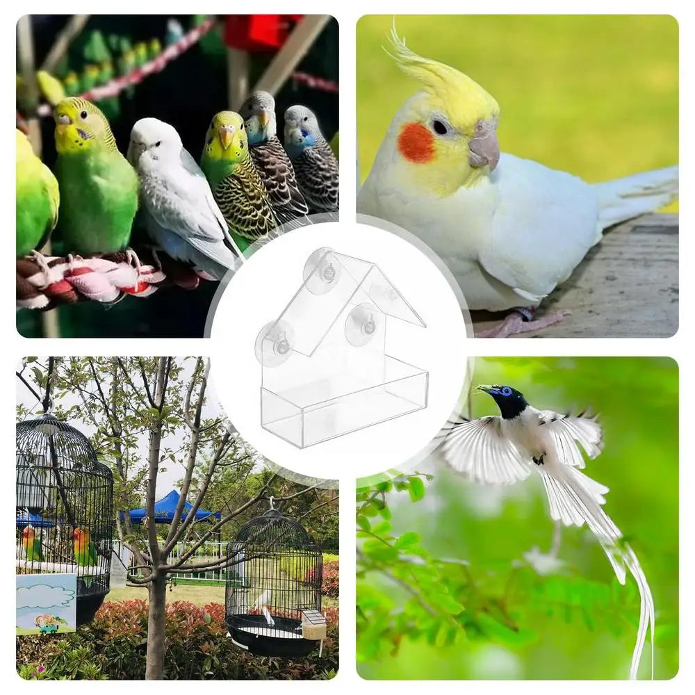 Pat and Pet Emporium | Pet Feeders | Bird Feeder | Clear Box