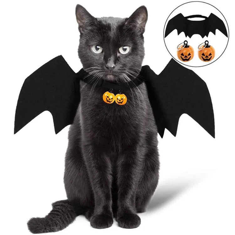 Pat and Pet Emporium | Pet Costumes | Halloween Clothing