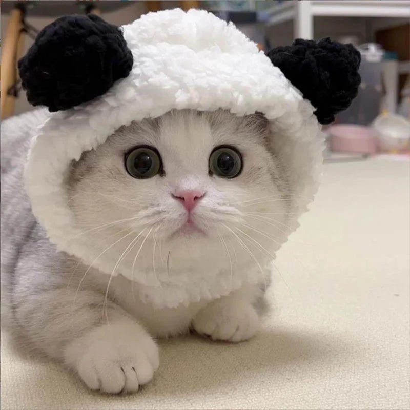 Pat and Pet Emporium | Pet Costumes | Bear Plush Cat Costume