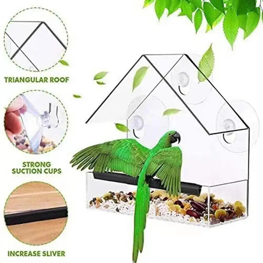 Pat and Pet Emporium | Pet Feeders | Bird Feeder | Clear Box