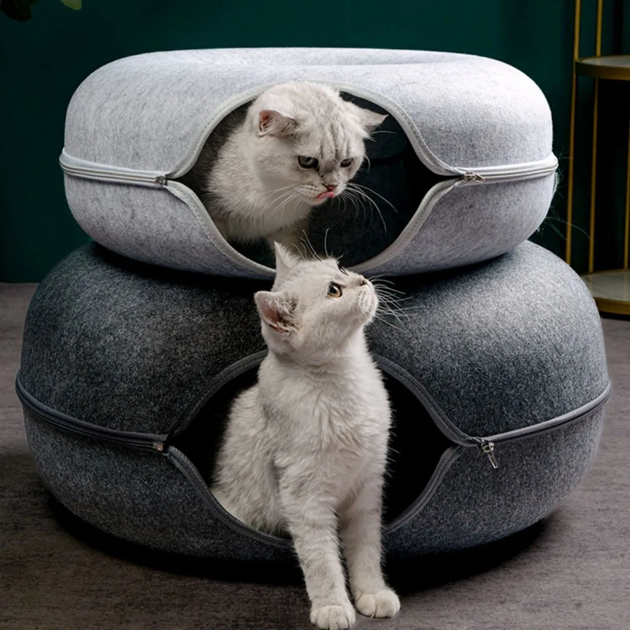 Pat and Pet Emporium | Pet Beds | Cat Bed Interactive Tunnel