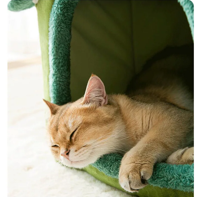 Pat and Pet Emporium | Pet Beds | Foldable Dog Cat Bed House