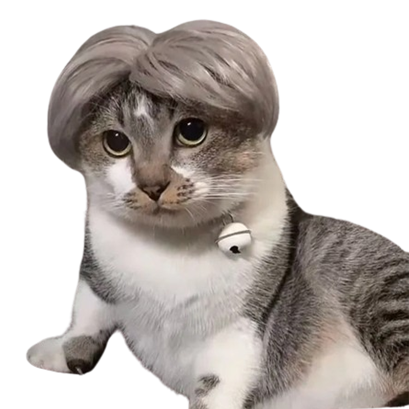 Pat and Pet Emporium | Pet Costumes | Cat Dog Wig Hair Piece