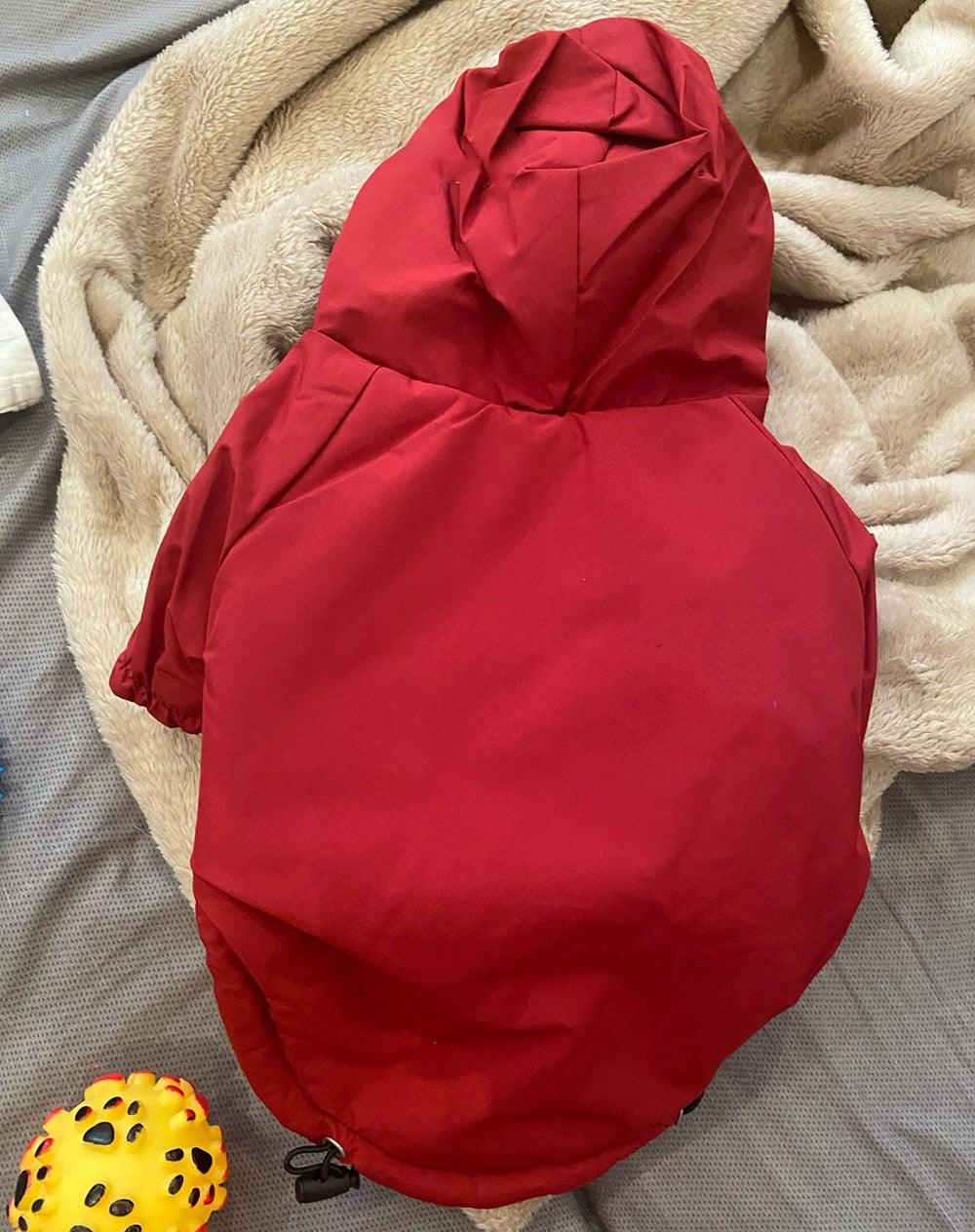 Pat and Pet Emporium | Pet Clothing | Reflective Rain Hoodie