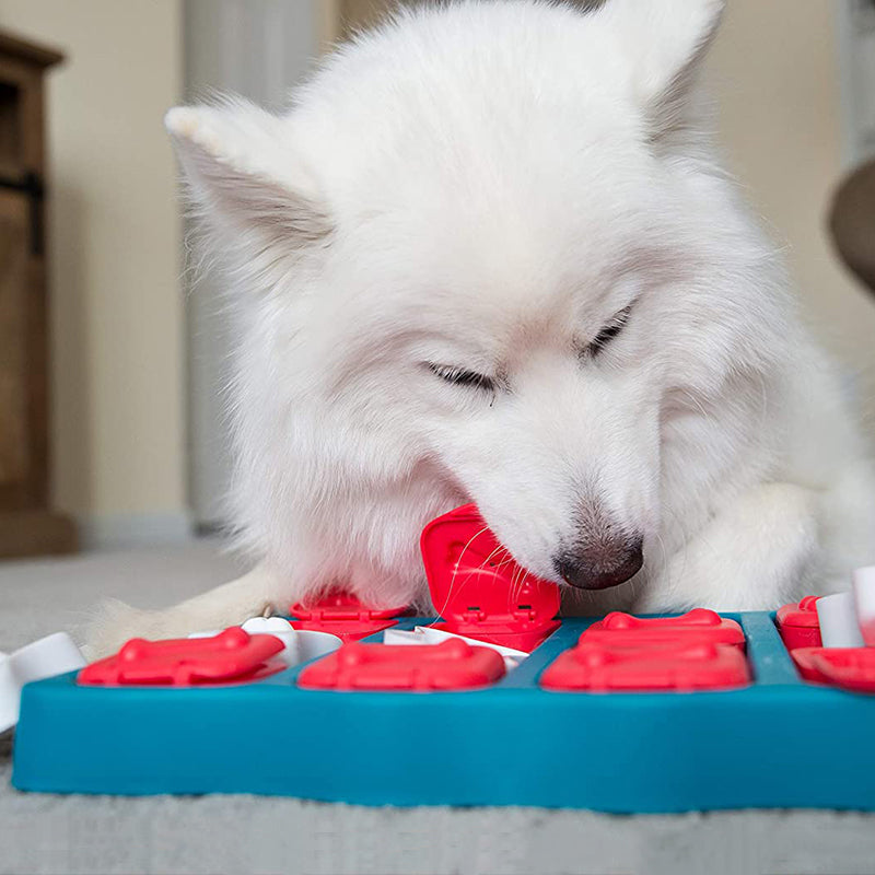 Pat and Pet Emporium | Pet Toys | Pet Snack Treasure Box Toy