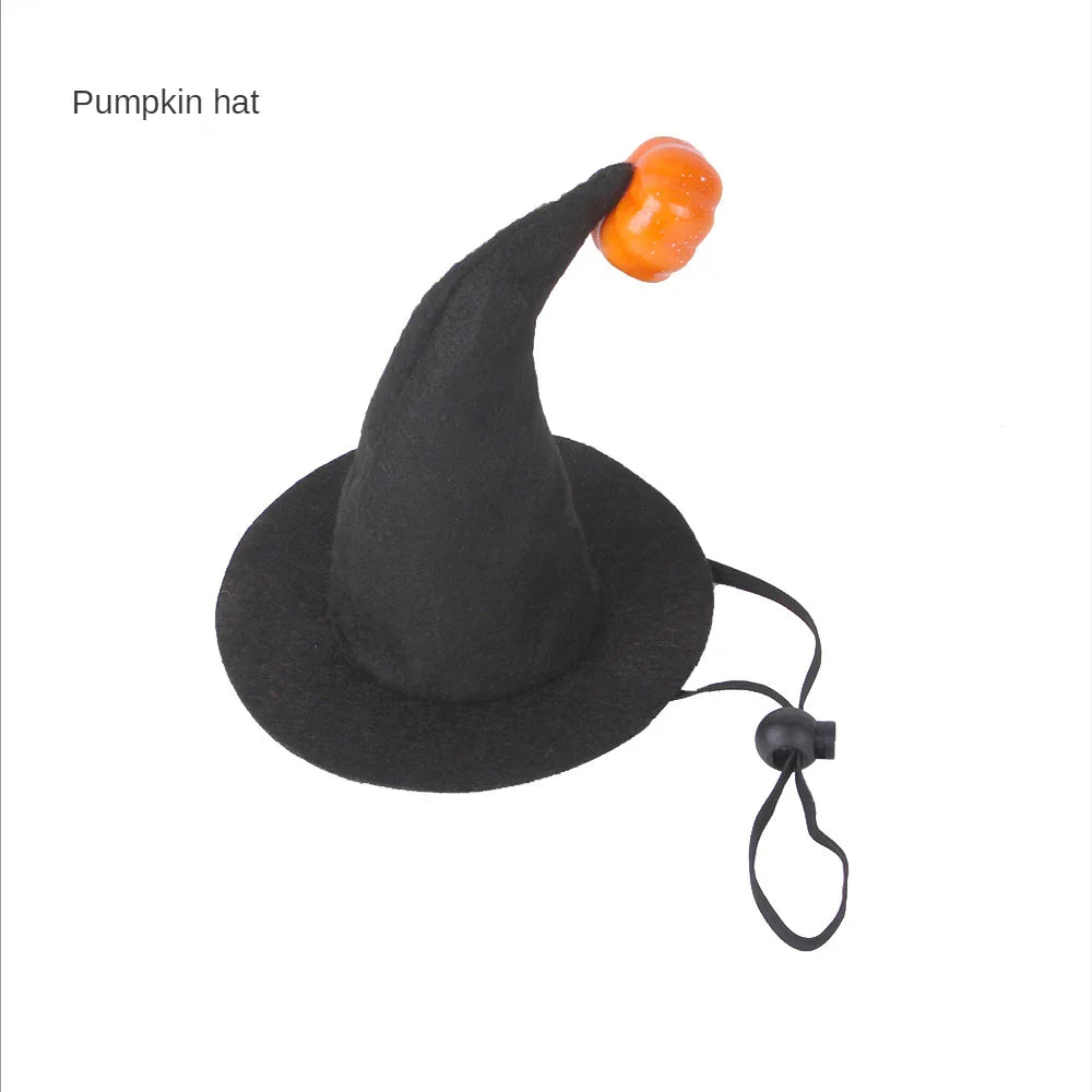 Pat and Pet Emporium | Pet Costumes | Halloween Clothing