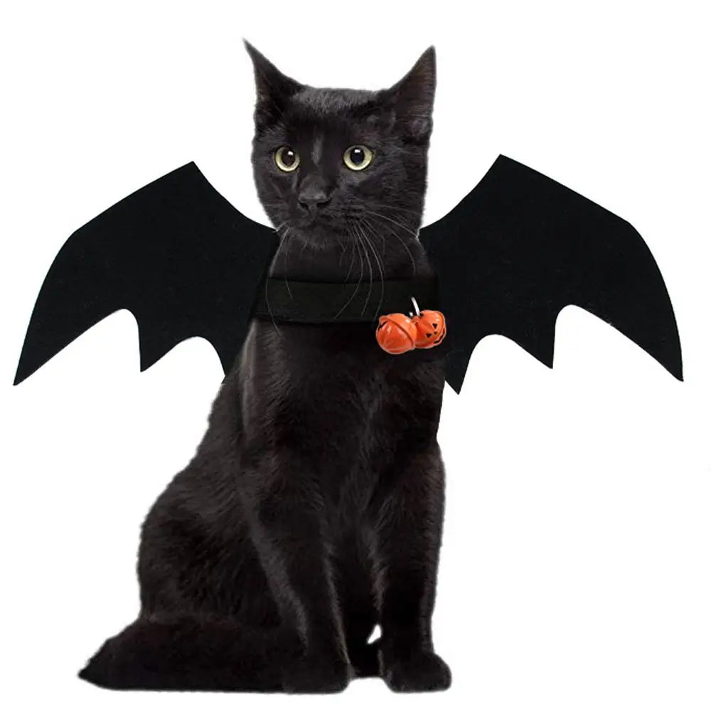 Pat and Pet Emporium | Pet Costumes | Halloween Clothing
