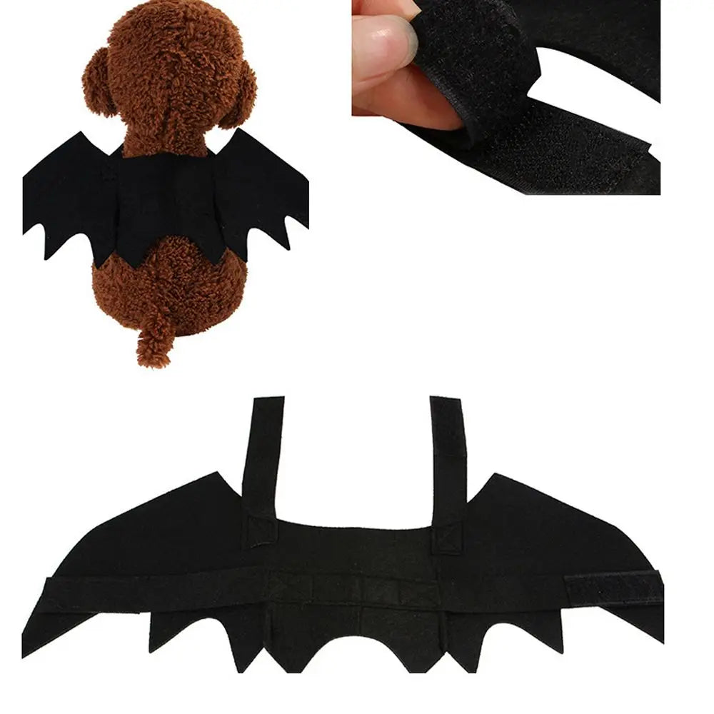 Pat and Pet Emporium | Pet Costumes | Halloween Clothing