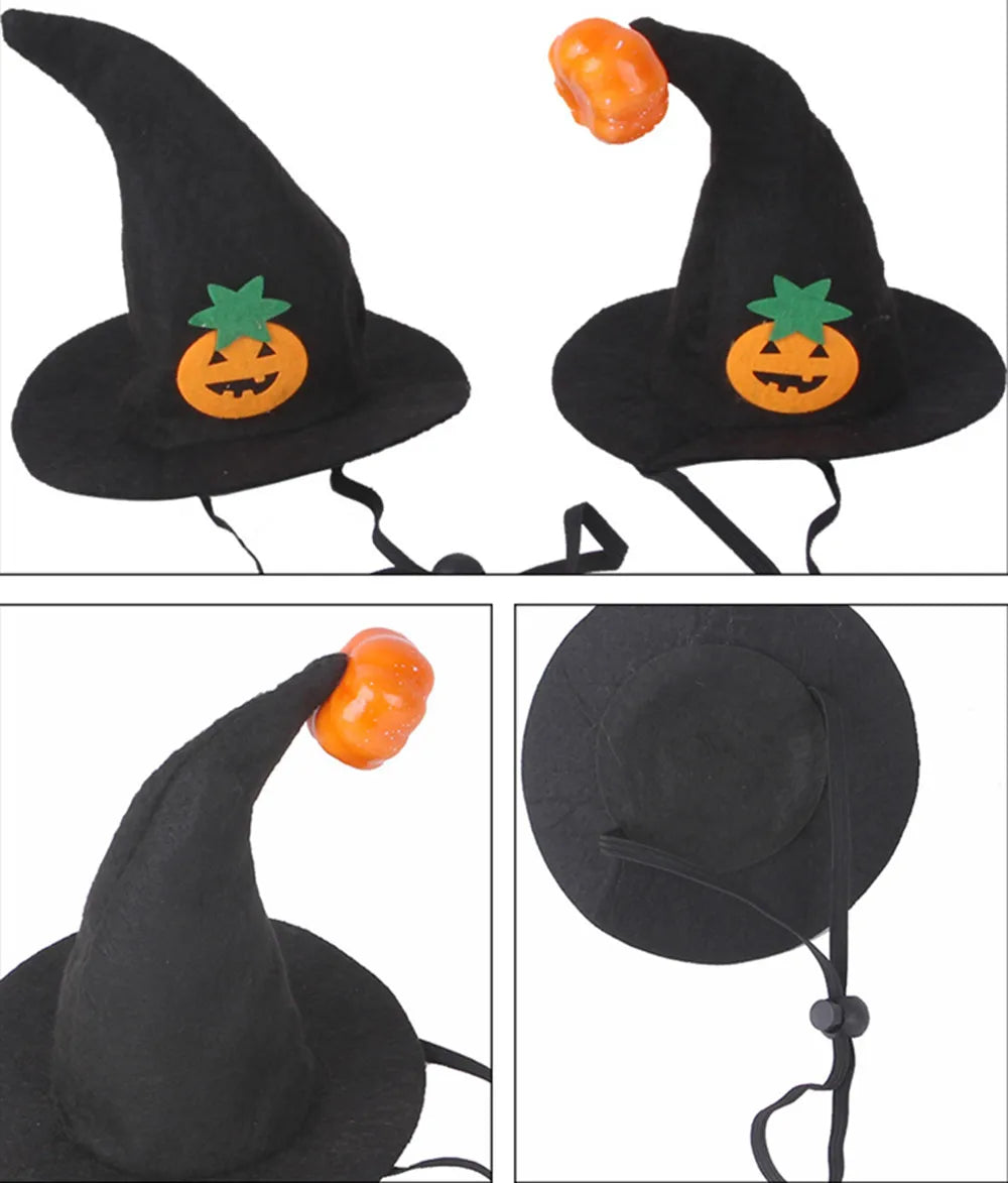Pat and Pet Emporium | Pet Costumes | Halloween Clothing