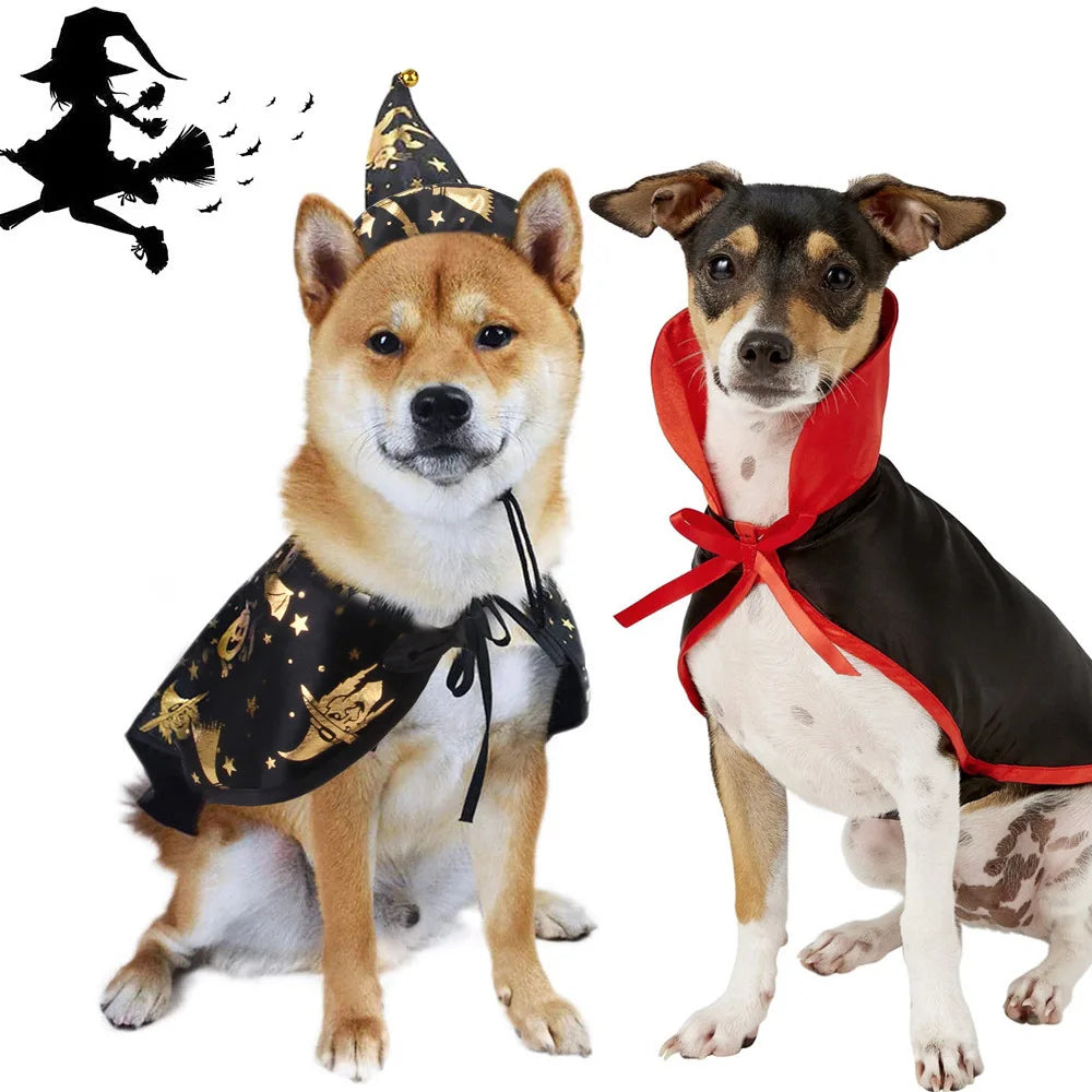 Pat and Pet Emporium | Pet Costumes | Halloween Clothing