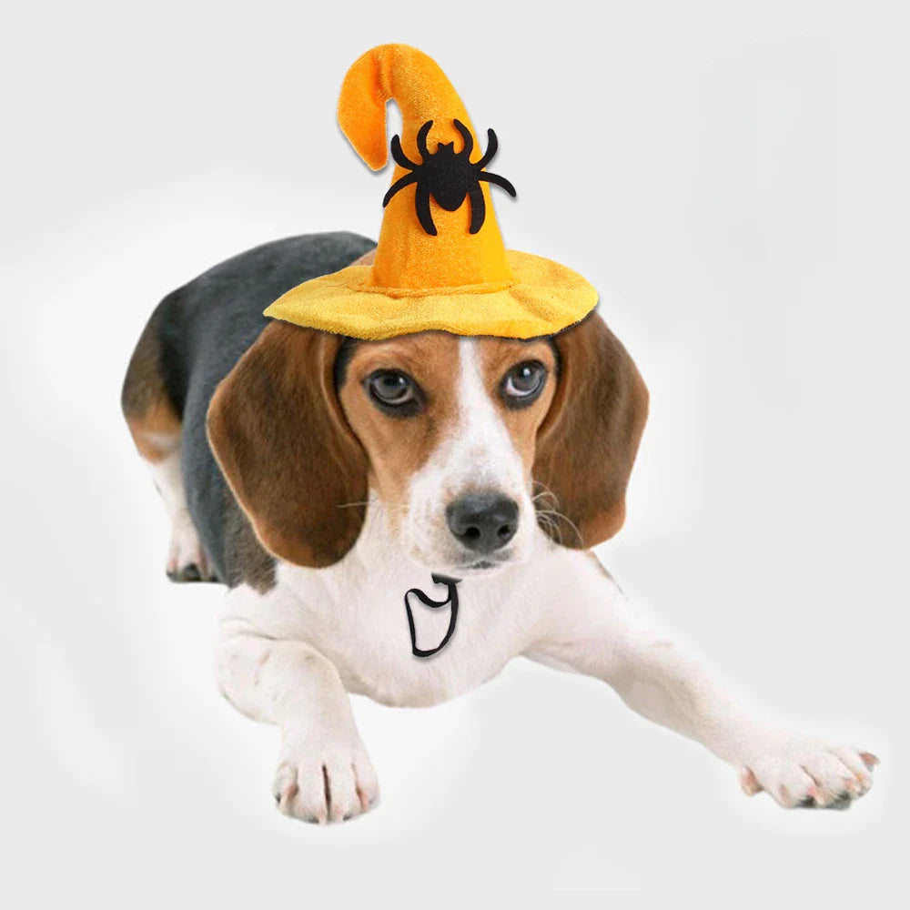 Pat and Pet Emporium | Pet Costumes | Halloween Clothing