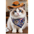 Pat and Pet Emporium | Pet Hats | Paisley Print Pet Scarf & Hat