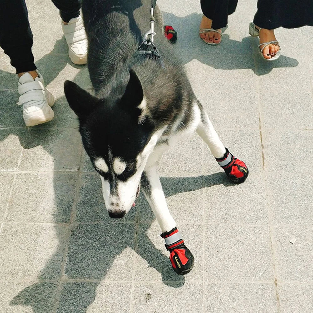 Pat and Pet Emporium | Pet Shoes | Snow Pet Boots 4 Pcs Set