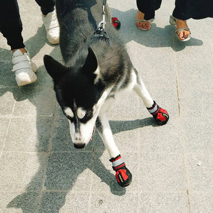 Pat and Pet Emporium | Pet Shoes | Snow Pet Boots 4 Pcs Set