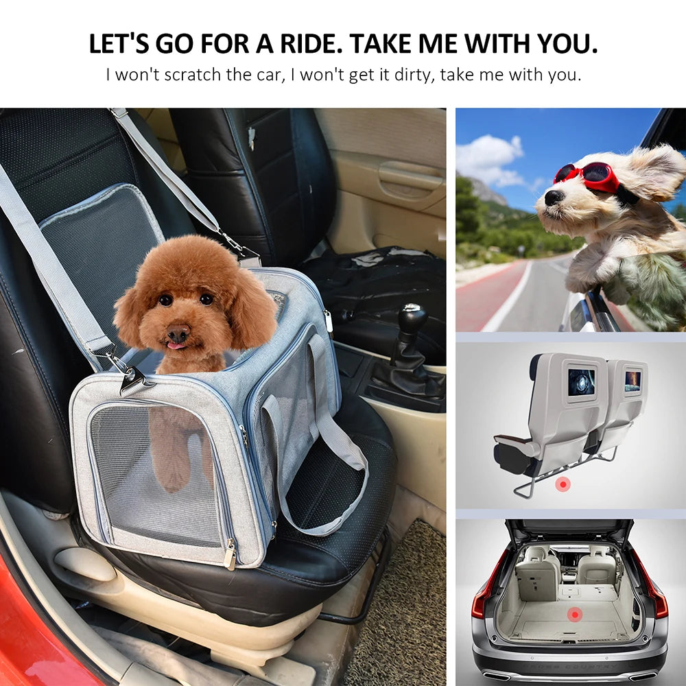 Pat and Pet Emporium | Pet Carriers | Dog Cat Carrier Backpack