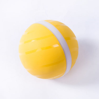 Pat and Pet Emporium | Pet Toys | LED Pet Ball