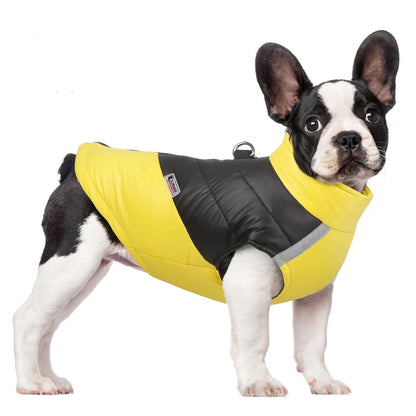 Pat and Pet Emporium | Pet Clothing | Waterproof Bright Dog Jackets
