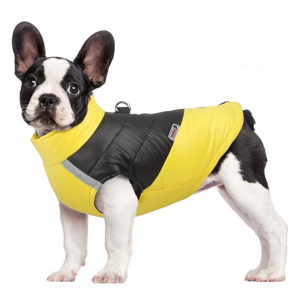 Pat and Pet Emporium | Pet Clothing | Waterproof Bright Dog Jackets