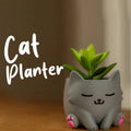 Pat and Pet Emporium | Home Products | Cat Mini Planter