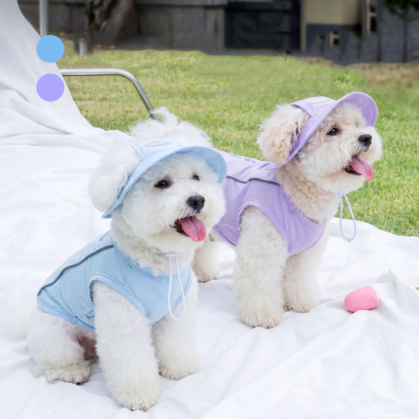 Pat and Pet Emporium | Pet Clothing | Cooling Dog Vest & Hat Set