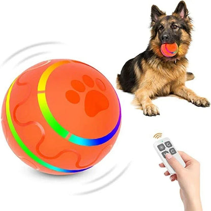 Pat and Pet Emporium | Pet Toys | Remote and Smart LED Ball
