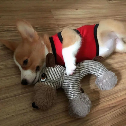 Pat and Pet Emporium | Pet Toys | Bite Resist Squeaky Pet Toy