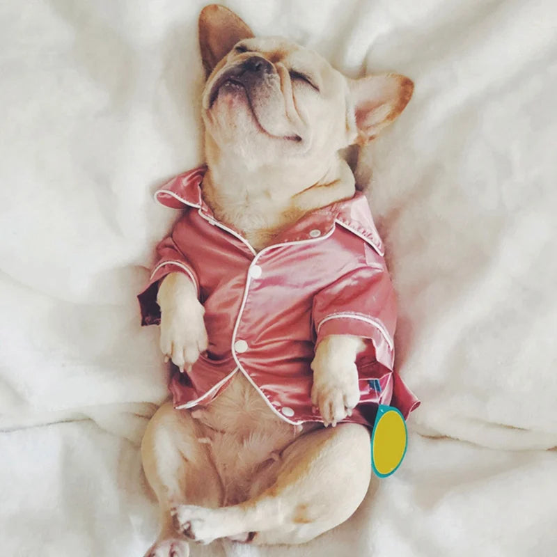 Pat and Pet Emporium | Pet Clothing | Pet Silky Pajamas