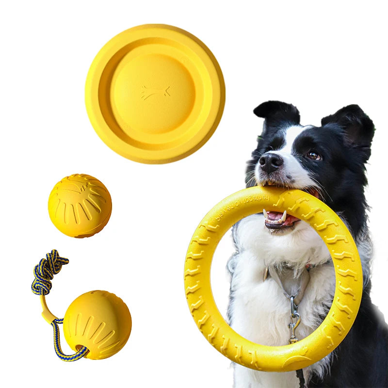 Pat and Pet Emporium | Pet Toys | Flying Throw Ring Toy